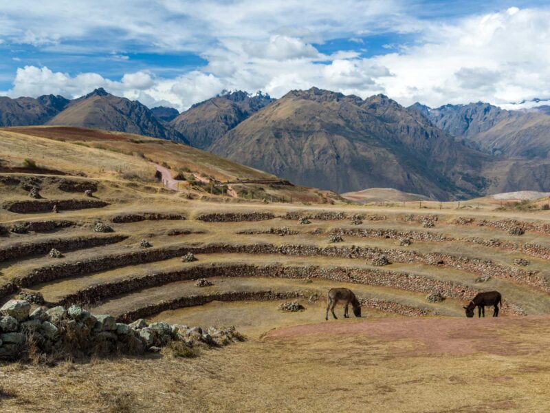 Valle Sagrado de los Incas Tour Completo en 1 Día desde Cusco